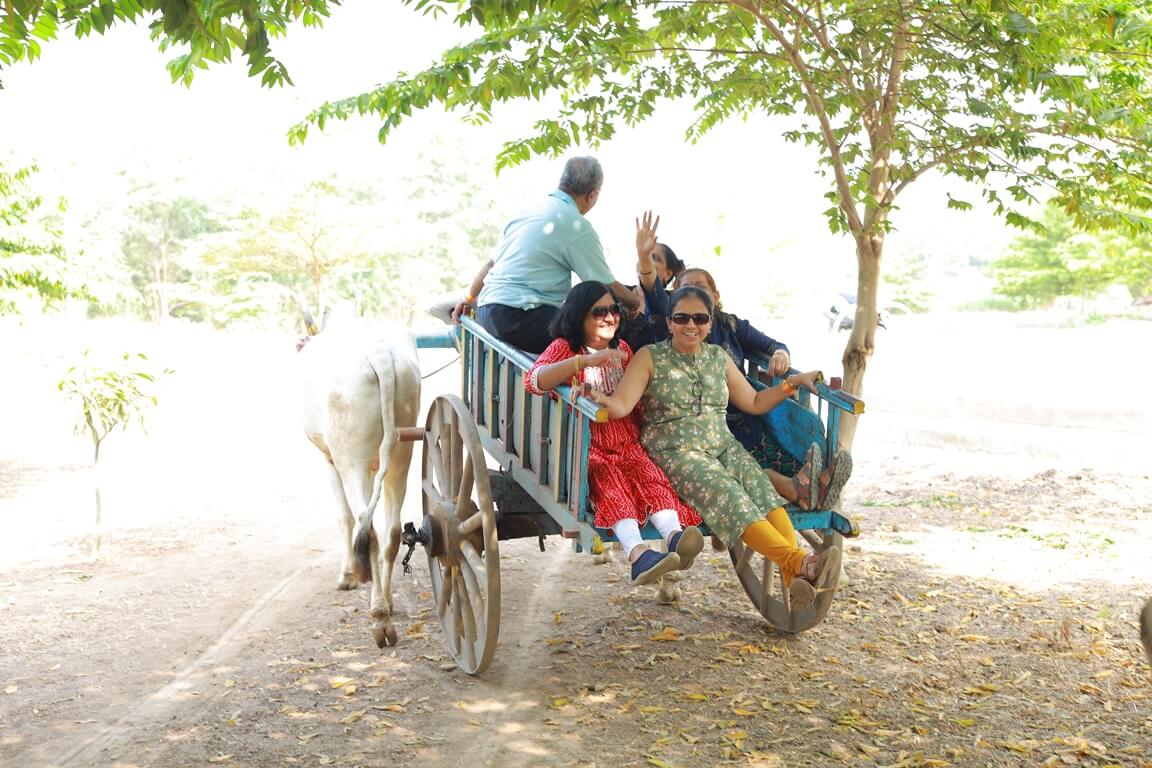 Bullock Cart Ride